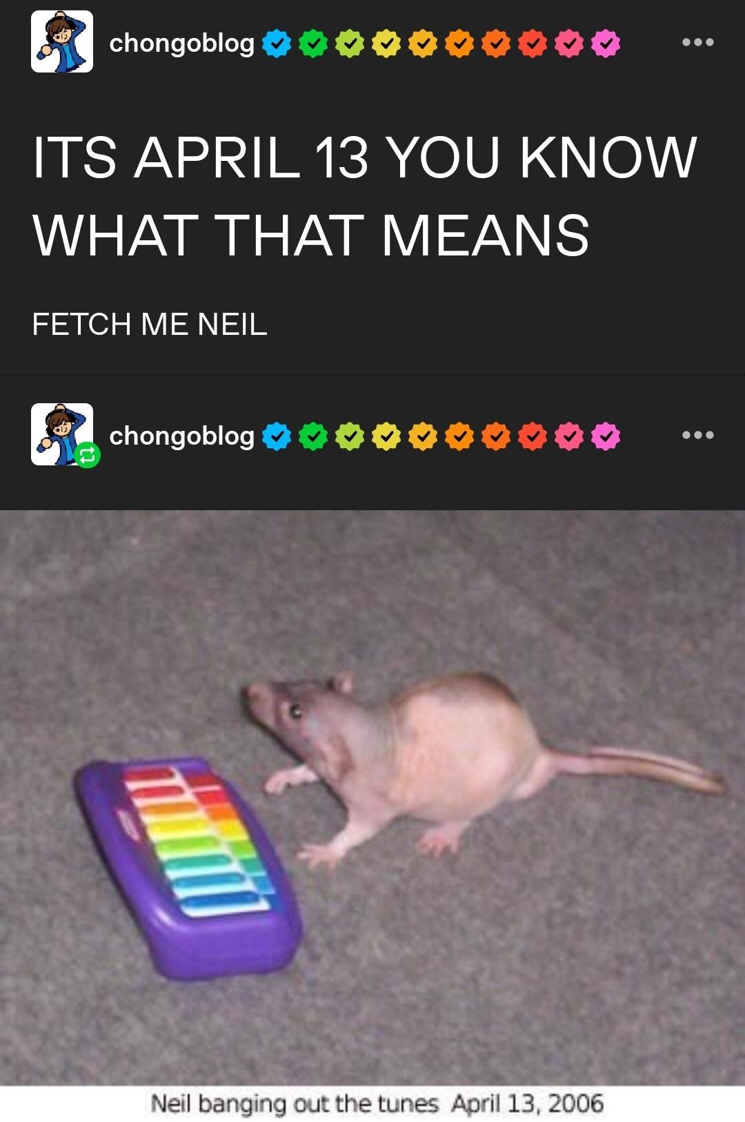 Tumblr post captioned "ITS APRIL 13th, YOU KNOW WHAT THAT MEANS. FETCH ME NEIL.", with an image of a hairless rat in front of a rainbow-colored toy xylophone, with the subtitle "Neil banging out the tunes, April 13th, 2006"