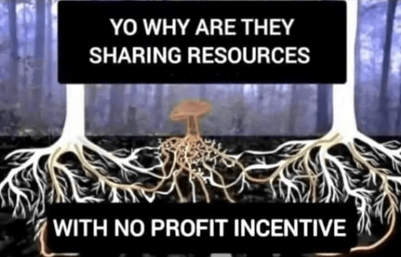 A deathcap mushroom flanked by two trees with interconnected roots. "Yo why are they sharing resources with no profit incentive"