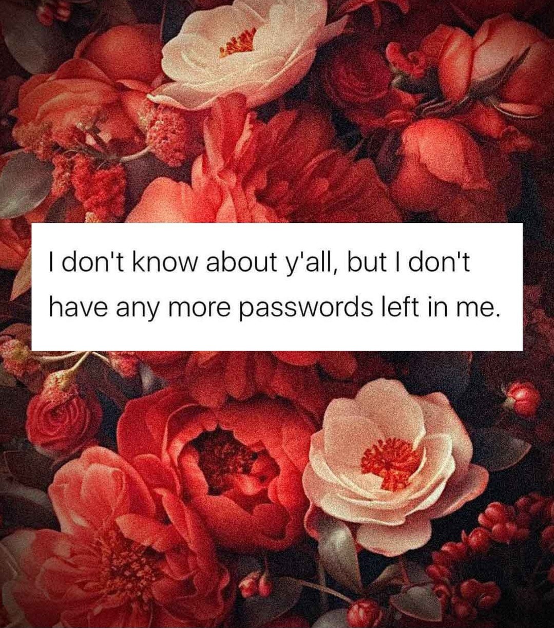 I really dont...