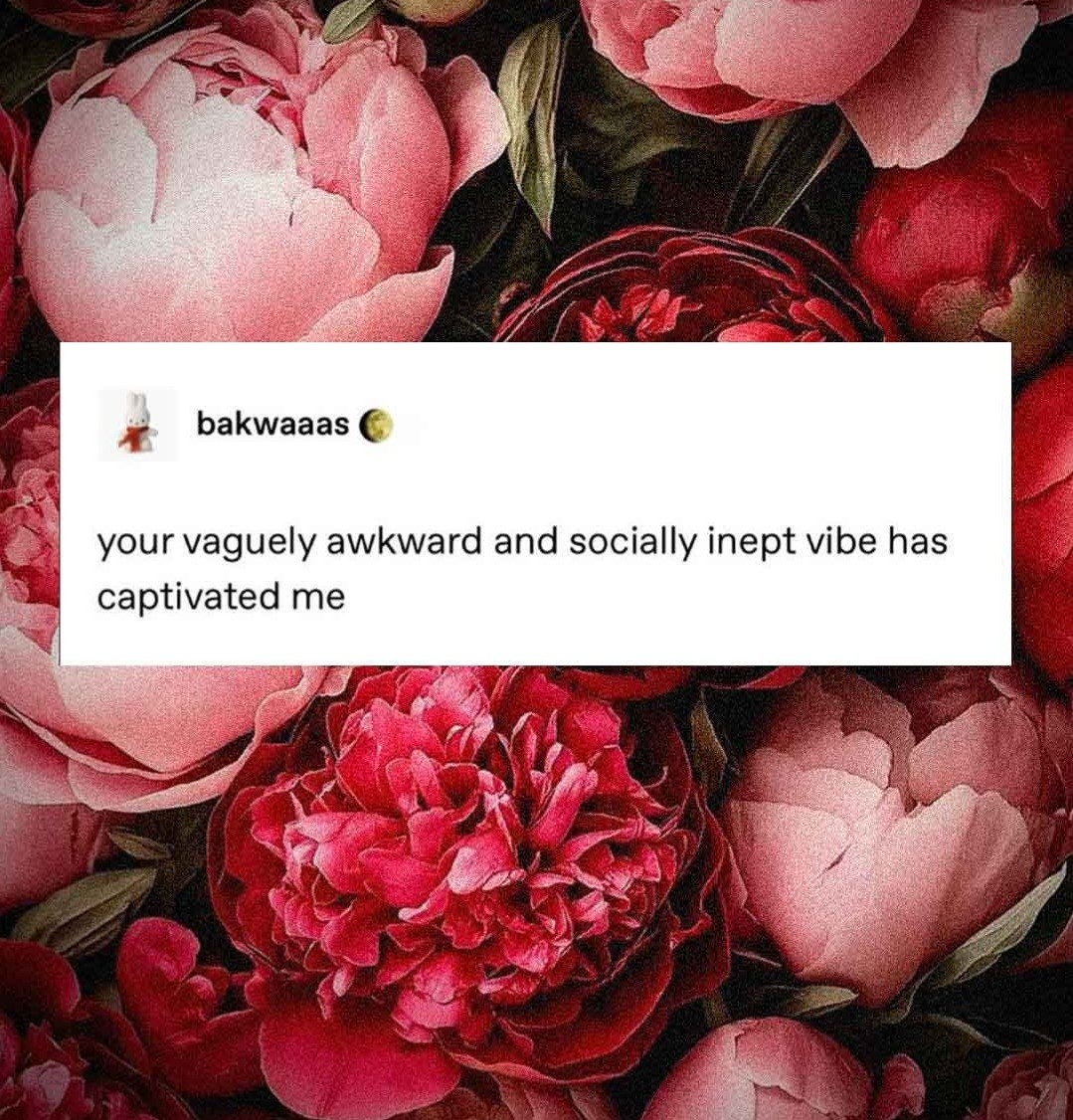 If only...