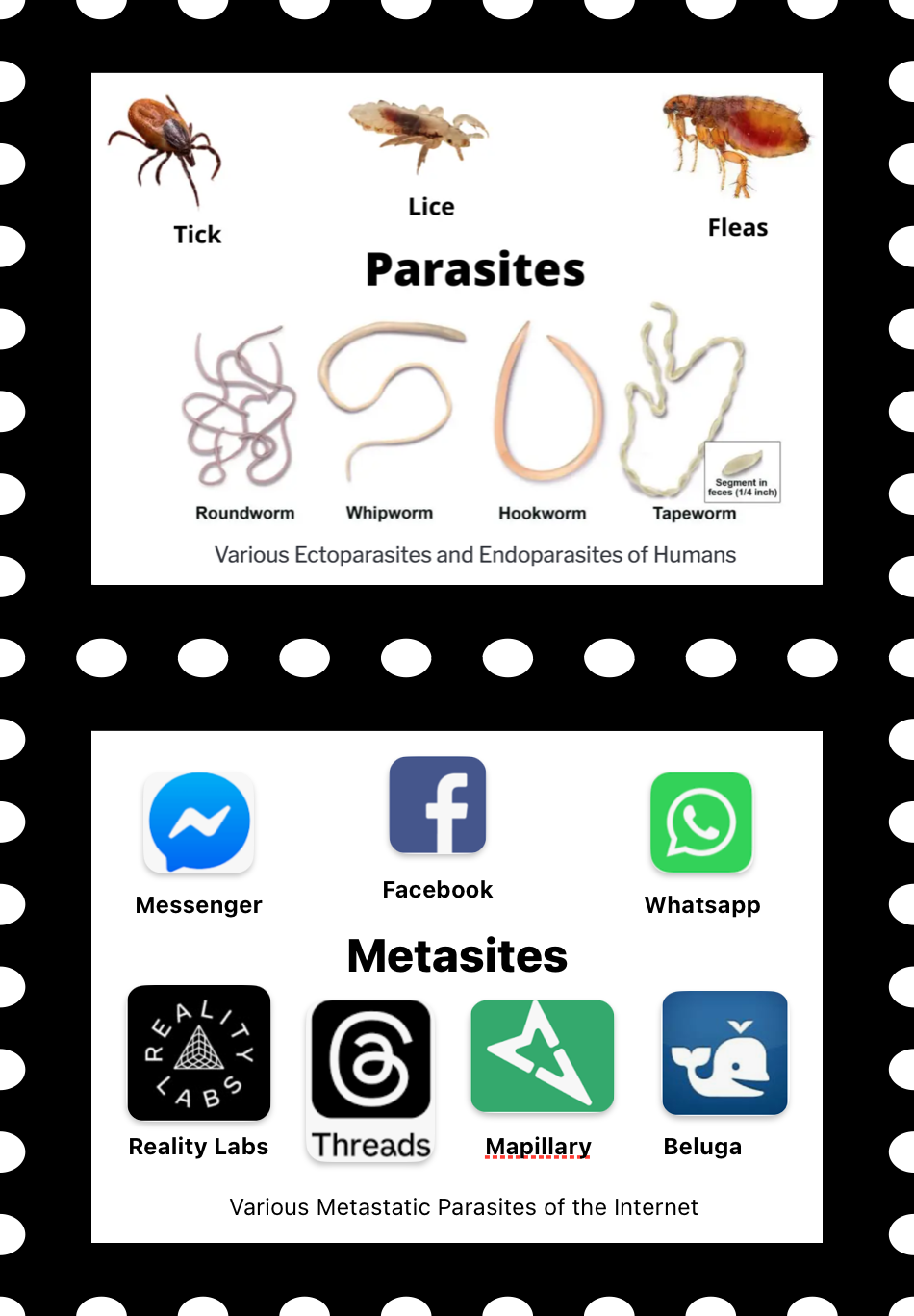 Two frame meme. First frame shows various parasited like ticks and fleas and lice. Second frame shows "metasites" which are blood sucking sites like facebook and apps like Whatsapp.