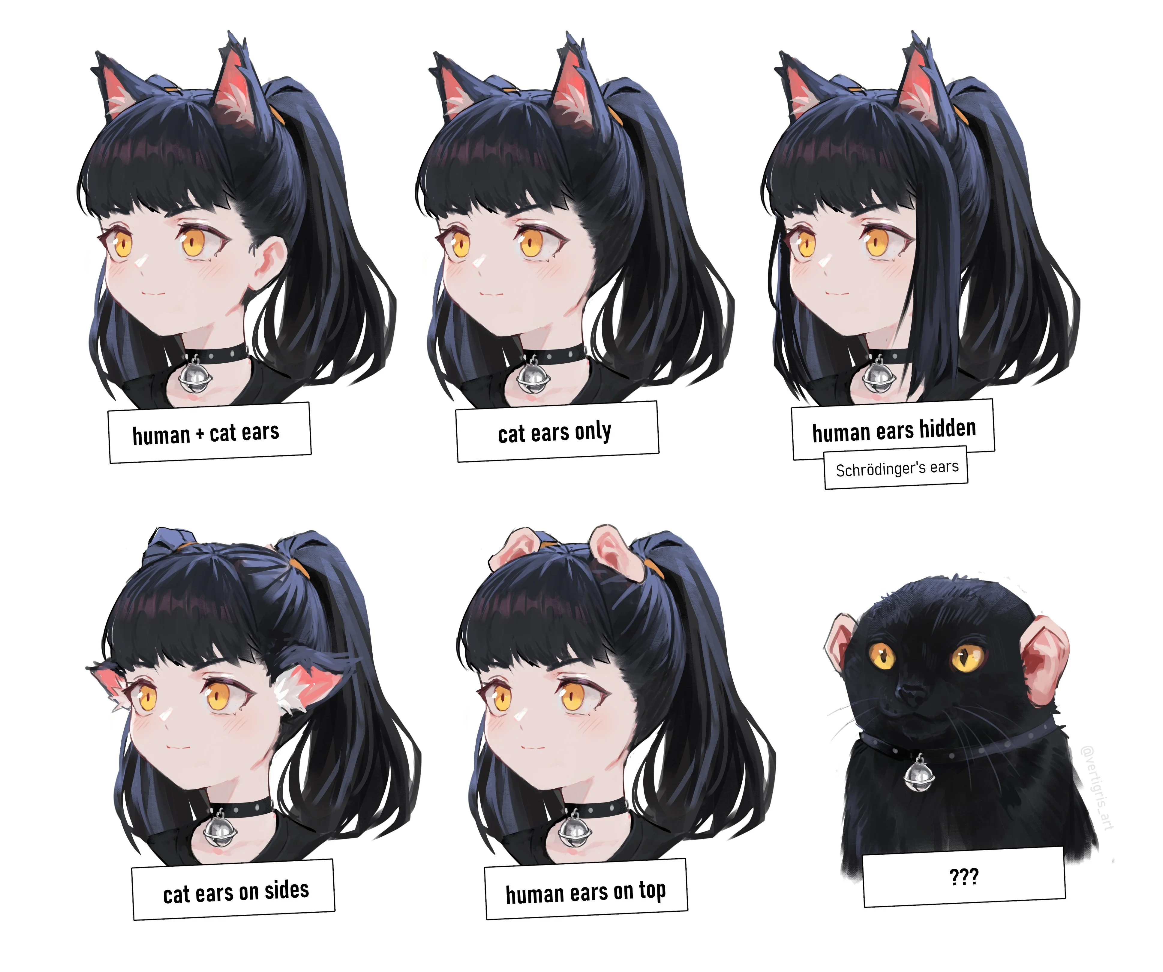The six types of catgirls are pictured: human+cat ears, cat ears only, human ears hidden by hair, cat ears on side, human ears on top, human ears on cat