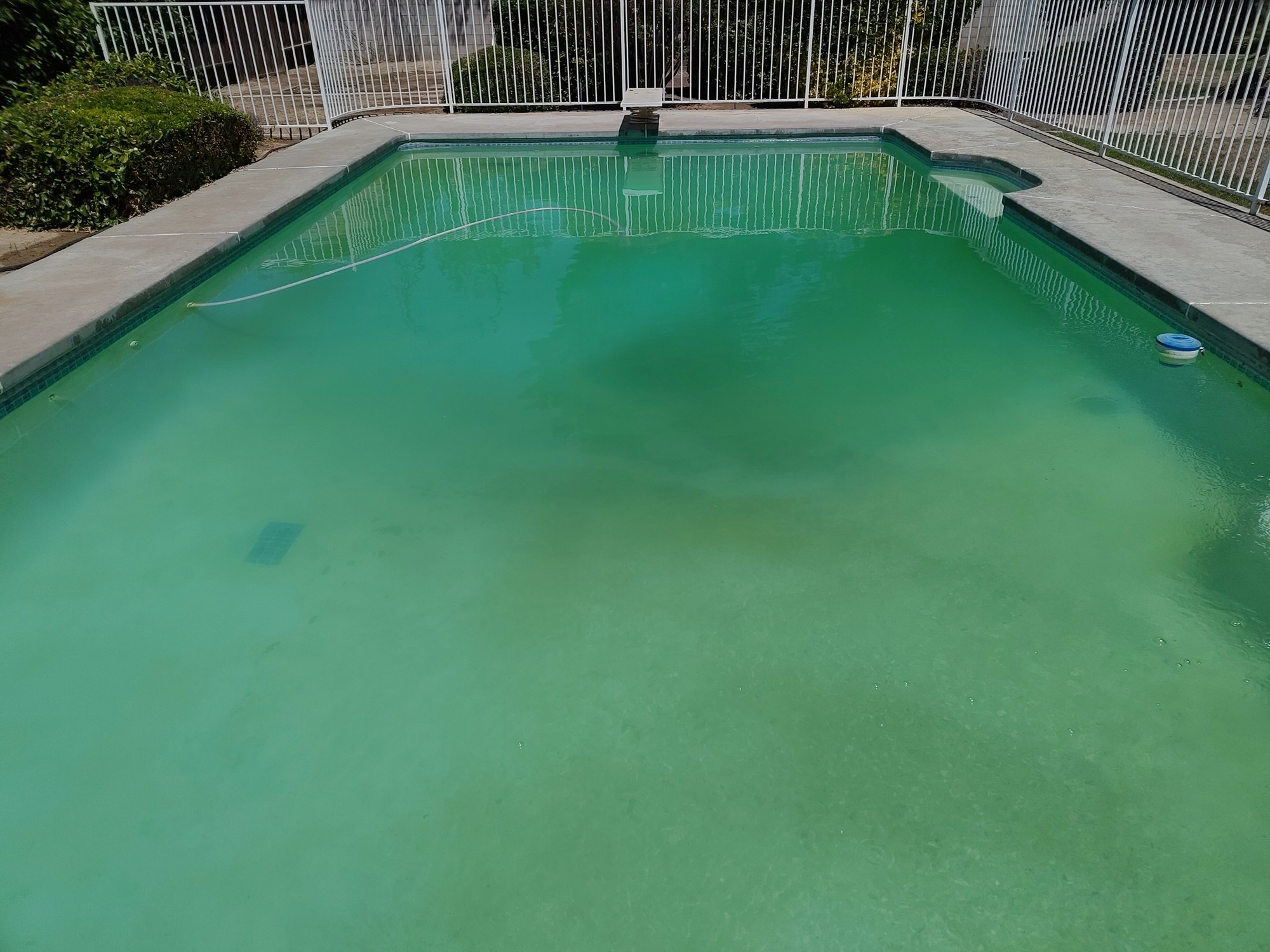 pool with cloudy green water