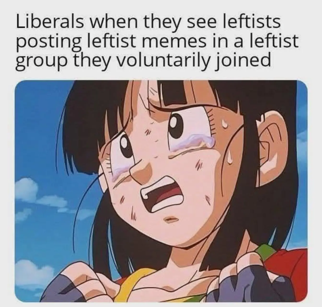 Anime girl crying with the caption: Liberals when they see leftists post leftist memes in a leftist group theiy voluntarily joined.
