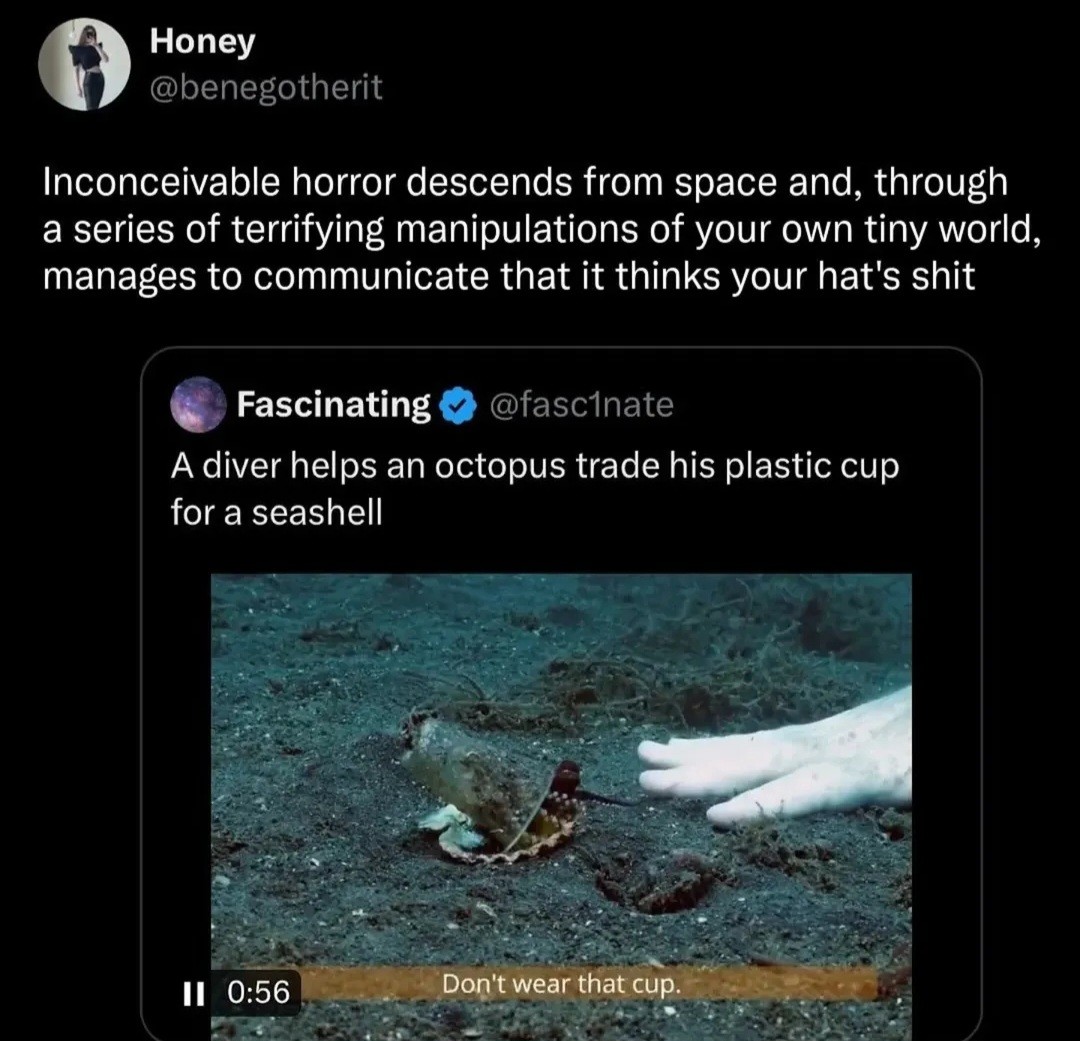 The wonder of the sea