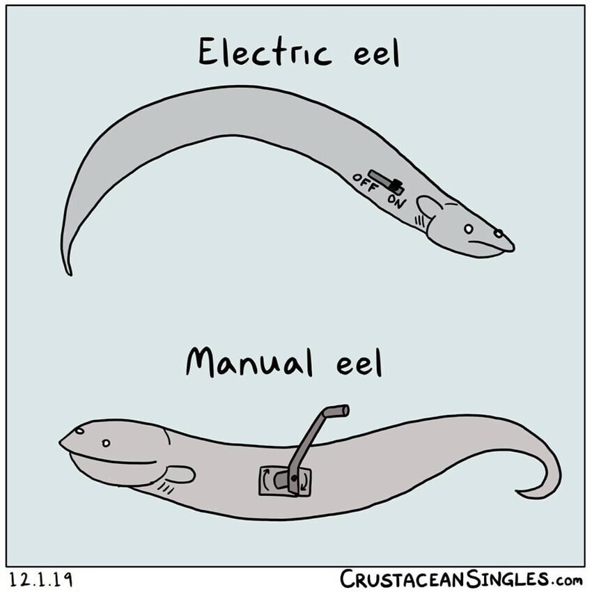 Two drawings of eels are pictured. One has a switch on it, labeled "electric eel," while the other has a crank mechanism on it, labeled "manual eel."