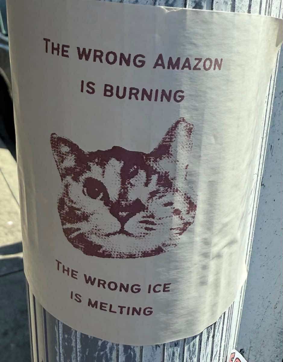 A poster pasted on a street pole picturing a grainy cat face in the centre. Text above the cat reads "THE WRONG AMAZON IS BURNING". Text below the cat reads "THE WRONG ICE IS MELTING".